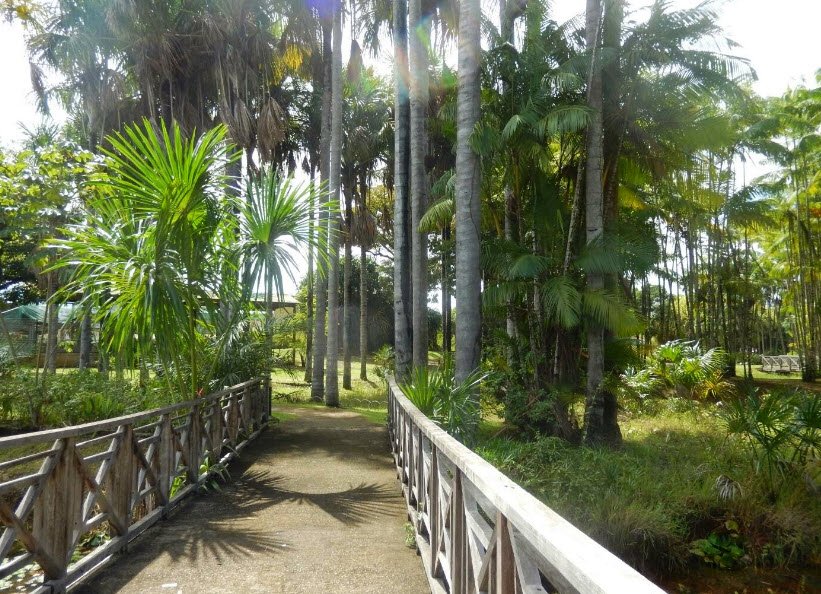 Jardin Botanique, Cayenne, French Guiana, France